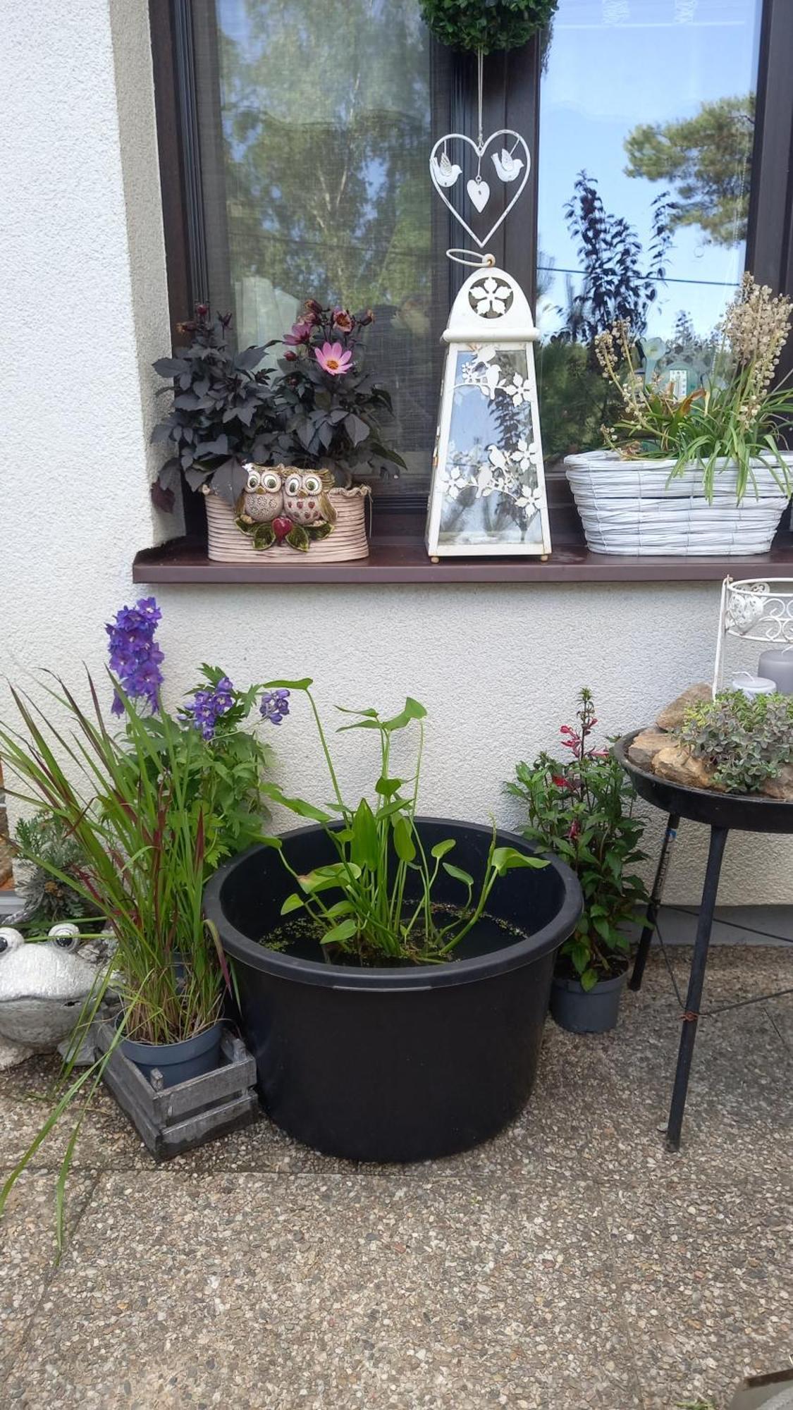 Chata u rybníka - Chrastná Osecna Esterno foto